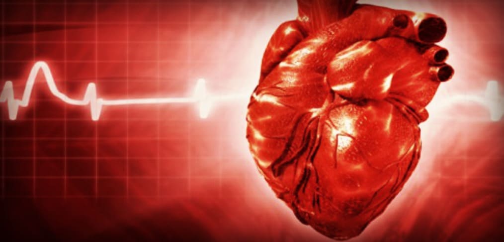 The Most Common Medical Tests for Heart Disease