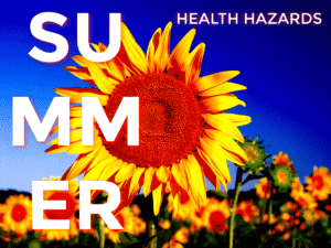 Summer health hazards