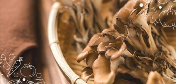 Maitake and Portobello mushrooms