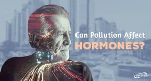 Can pollution affect hormones?