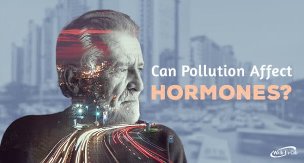 Can pollution affect hormones?