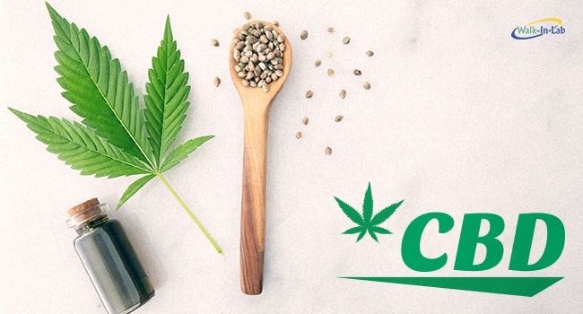 Benefits and Uses of CBD Oil