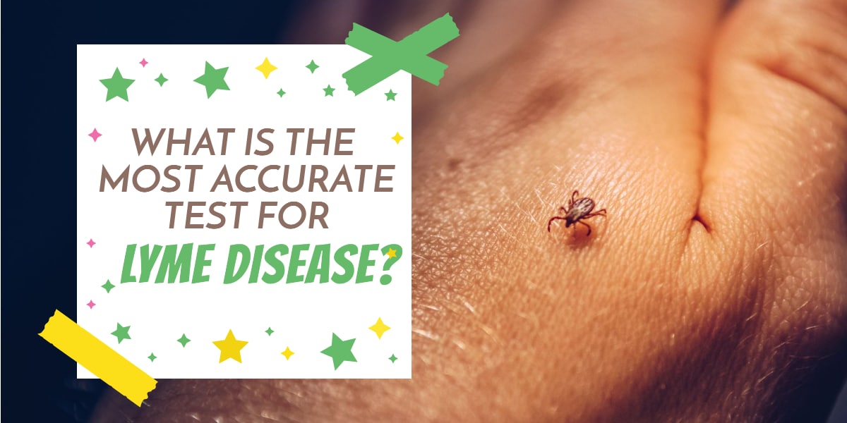 how do you know if your dog has lyme disease