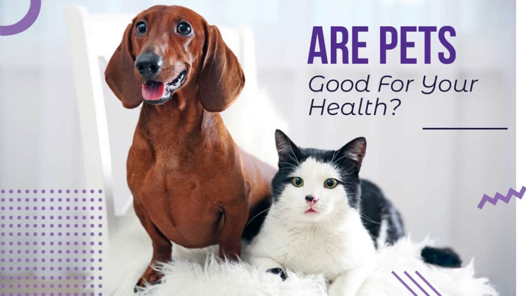 Are Pets Good For Your Health?