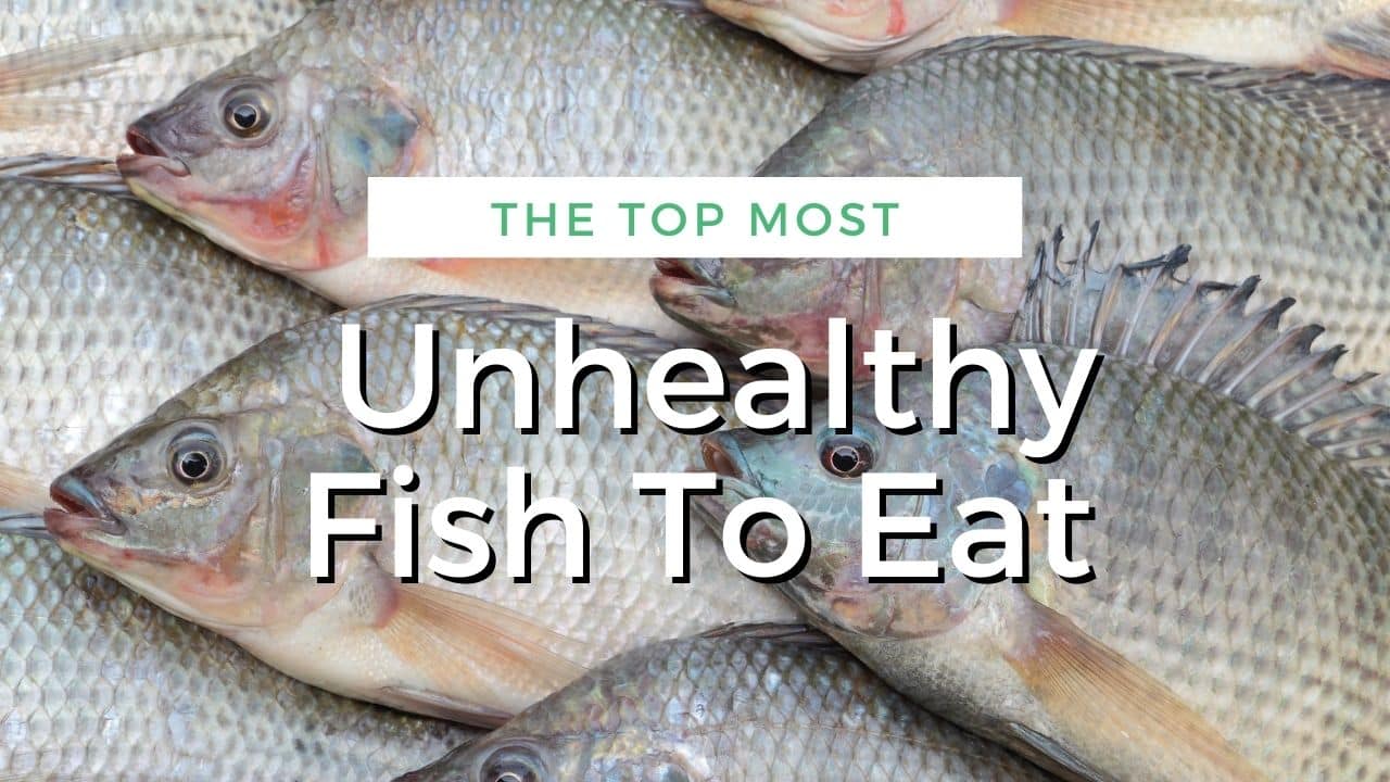 10 of the World's Most Dangerous Fish