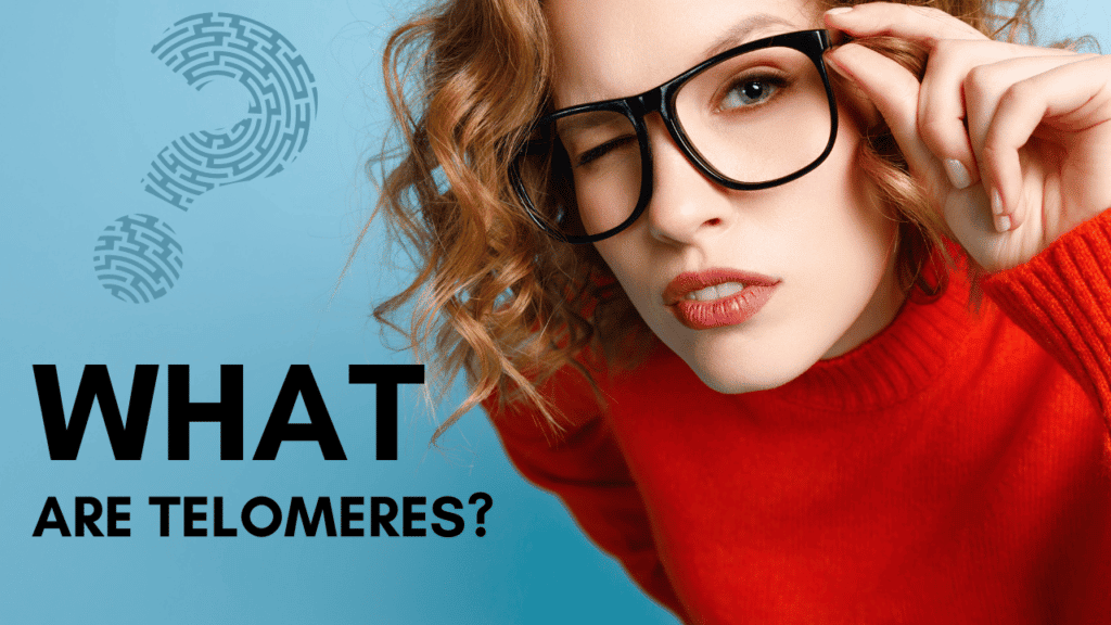 What are telomeres?
