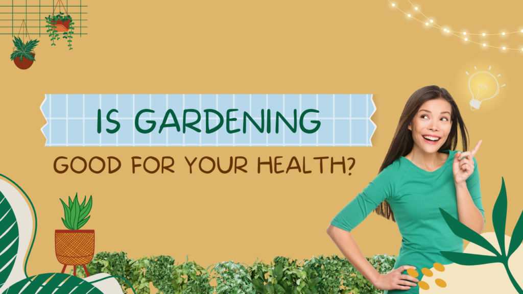 Is Gardening Good For Your Health?