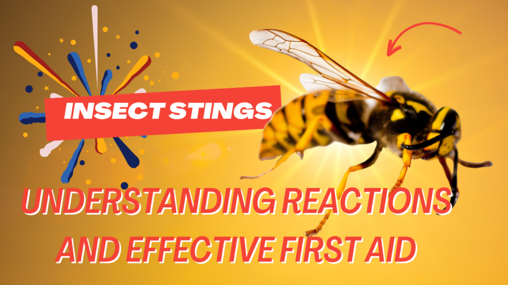 Insect Stings: Understanding Reactions and Effective First Aid