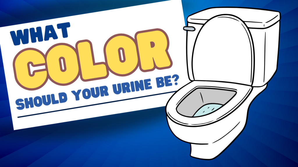What Color Should Your Urine Be?