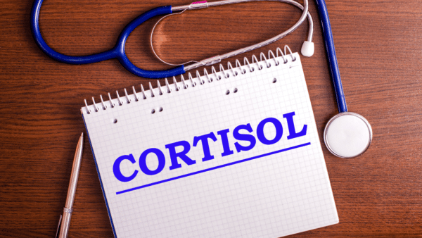 How Stress Can Raise Your Cortisol?