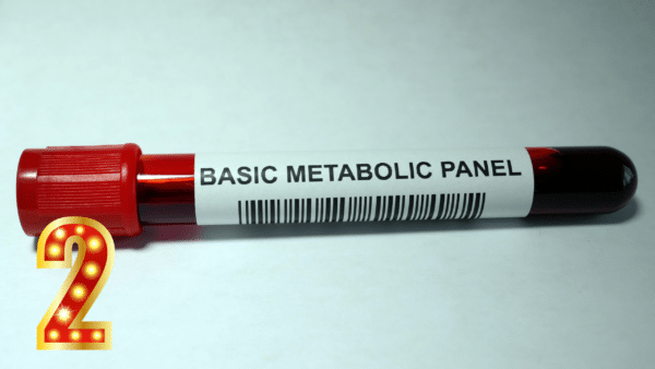 Comprehensive Metabolic Panel (CMP)